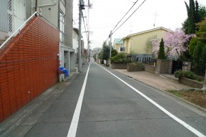 柿の木坂道路